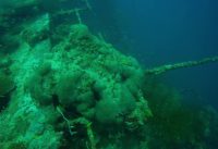 British Loyalty Wreck Addu Atoll – Maldives Scuba Diving