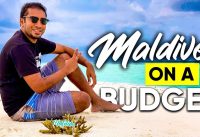 CHEAP MALDIVES!! HOW MUCH DOES IT COST TO TRAVEL MALDIVES ON A BUDGET