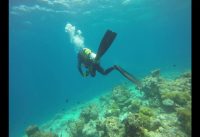 2018 Potato Reef Male Maldives