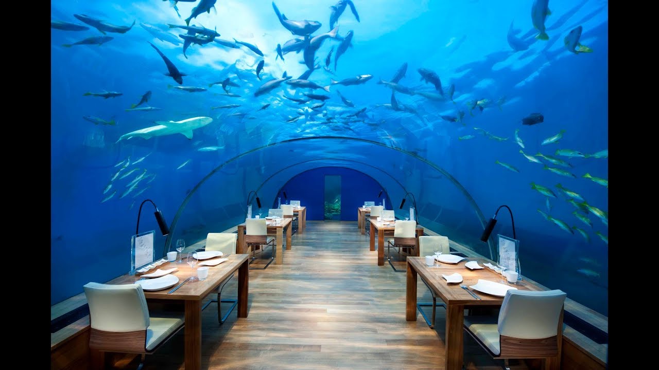 A luxury gastronomy experience at Conrad Maldives Rangali Island