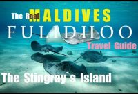 MALDIVES – FULIDHOO ISLAND – TRAVEL GUIDE  2021  4K  #budget #budgettravelling #diving #snorkeling